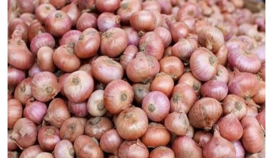 আমাদেরজাগরণ